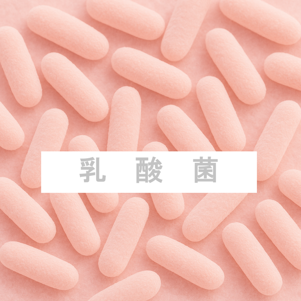 乳酸菌（免疫サポート）